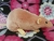 Pink Rat Plushie