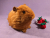 Big Ginger Guinea Pig Plushie