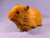 Big Ginger Guinea Pig Plushie