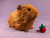 Big Ginger Guinea Pig Plushie