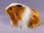 Big Ginger Dutch Longhaired Guinea Pig Plushie