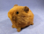 Little Ginger Guinea Pig Plushie