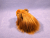 Little Ginger Longhaired Guinea Pig Plushie