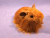 Little Ginger Longhaired Guinea Pig Plushie