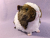 Big Agouti Brown Dutch Guinea Pig Plushie