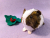 Little Agouti Brown Dutch Guinea Pig Plushie