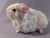 Big Pink Dutch Guinea Pig Plushie