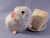 Little Pink Guinea Pig Plushie