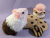Little Neapolitan "Poli" Guinea Pig Plushie