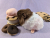 Little Neapolitan "Nea" Guinea Pig Plushie