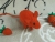 Red Mouse Plushie