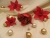 Red Poinsettias 2 Guinea Pig Ornament