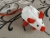 Red Siamese Mouse Plushie