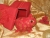 Red with Gold Stars Guinea Pig Ornament