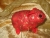 Red with Gold Vines Guinea Pig Ornament