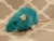 Teal Rat Plushie