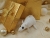 White Holly Mouse/Rat Ornament (Gold)