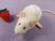White Mouse Plushie