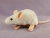 White Mouse Plushie with Tan Belly