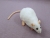 White Rat Plushie