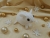 Clone of White Snowflakes Guinea Pig Ornament (Gold)