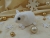 Clone of White Snowflakes Guinea Pig Ornament (Gold)