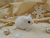 Clone of White Snowflakes Guinea Pig Ornament (Gold)