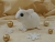 Clone of White Snowflakes Guinea Pig Ornament (Gold)