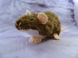 Agouti Brown Berkshire Rat Plushie