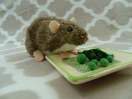 Agouti Grey Berkshire Rat Plushie