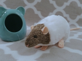 Agouti Grey Capped Rat Plushie