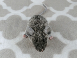 Agouti Grey Mouse Plushie