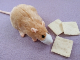 Beige Blazed Rat Plushie