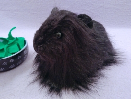 Big Black Longhaired Guinea Pig Plushie