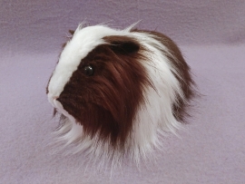 Big Dark Brown Dutch Longhaired Guinea Pig Plushie