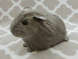 Big Grey Guinea Pig Plushie