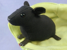 Big Black Hairless Guinea Pig Plushie