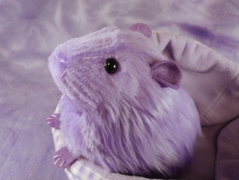 Big Lavender Guinea Pig Plushie