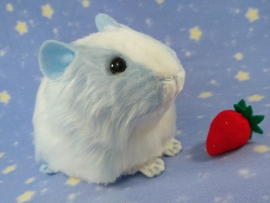 Big Light Blue Dutch Guinea Pig Plushie (Fluffy)
