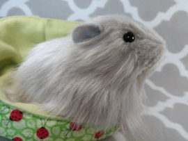 Big Grey Longhaired Guinea Pig Plushie