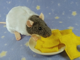 Blue Grey Capped Rat Plushie
