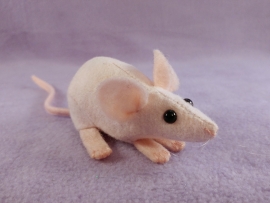 Hairless Mouse Plushie