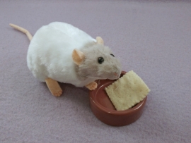 Light Grey Capped Rat Plushie