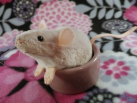 Light Pink Mouse Plushie with White Belly