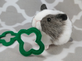 Little Agouti Grey Dutch Guinea Pig Plushie