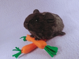 Little Black Shorthaired Guinea Pig Plushie