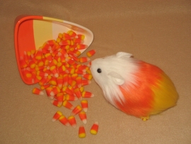 Little Candy Corn Guinea Pig Plushie