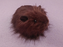 Little Dark Brown Longhaired Guinea Pig Plushie