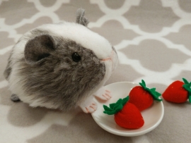 Little Grey Dutch Guinea Pig Plushie