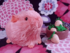 Little Hot Pink Guinea Pig Plushie
